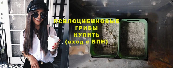 прущие крисы Струнино