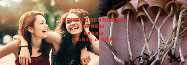 прущие крисы Струнино