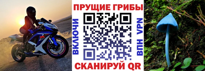 Галлюциногенные грибы Psilocybine cubensis Купить закладки Камбарка